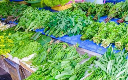Có 6 loại rau mùa xuân cực ngon nhưng bạn nhất định phải chần trước khi nấu ăn: Rất nhiều người thường bỏ qua