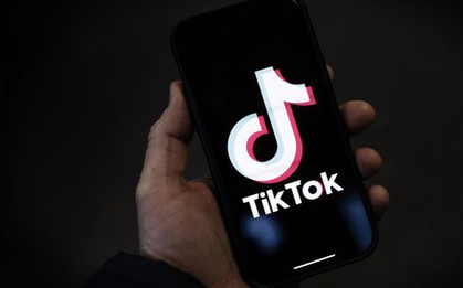 Lận đận ở nhiều nước, vì sao TikTok vẫn sôi động tại Việt Nam?