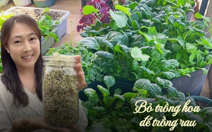 Người phụ nữ trung niên được coi là "bậc thầy trồng hoa" bất ngờ chuyển sang trồng rau để tiết kiệm tiền
