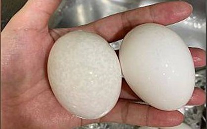 Thấy trứng có 4 đặc điểm này trên vỏ cần vứt ngay, đừng tiếc rẻ mà mang bệnh vào người