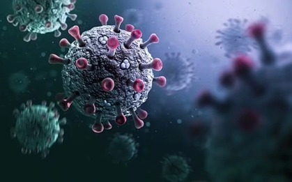 Chủng virus corona mới phát hiện có nguy cơ lây lan mạnh như COVID-19?