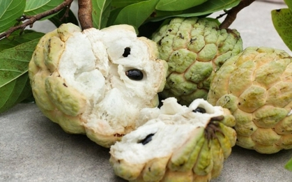 Loại quả nhiều mắt siêu ngon được mệnh danh là “thần dược” giảm nguy cơ đột quỵ