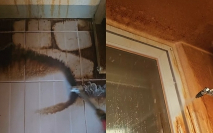 Bức ảnh căn hộ ố vàng đáng sợ khiến dân mạng bàng hoàng, thủ phạm hóa ra rất quen thuộc