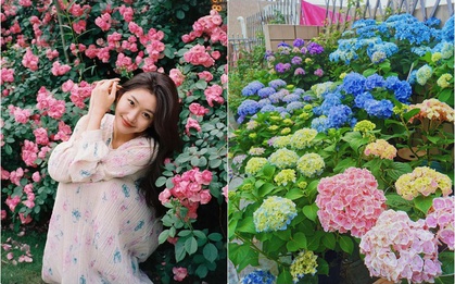 Trồng hoa trên sân thượng để thỏa mãn đam mê, bà mẹ trẻ nhận được lời hỏi mua nhiều đến bất ngờ!