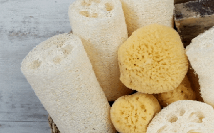 Những chiếc xơ mướp xưa cho ai cũng chê nay lại được phổ biến với công dụng và giá bán bất ngờ!
