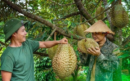 Vì sao giá sầu riêng sau Tết rẻ giật mình?
