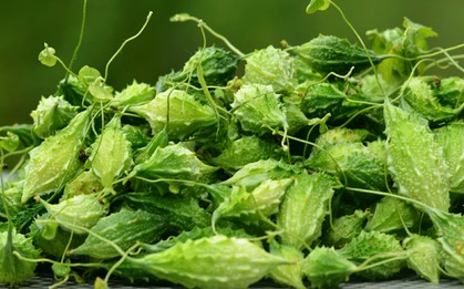 Nhật Bản đánh giá đây là 2 loại “rau trường thọ”, toàn loại quen thuộc ở Việt Nam