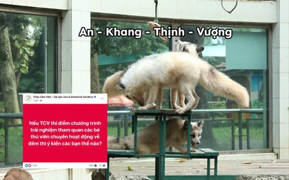Thảo Cầm Viên bất ngờ "tung hint" sẽ có tour đêm nhưng dân mạng lại rất lo lắng tới 1 vấn đề