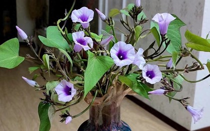 Bức ảnh chụp ở phòng khách lúc 12 giờ đêm khiến 1 cô gái bình thường bỗng nổi tiếng