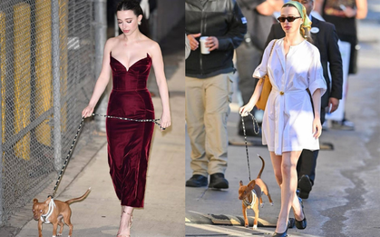 Đời thường như phim của chủ nhân tượng vàng Oscar: Diện váy cúp ngực dắt chó đi dạo bỗng viral