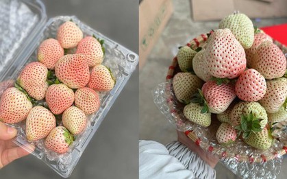 Loại quả từng có giá triệu đồng/kg nay bán rẻ bèo trên 'chợ mạng'