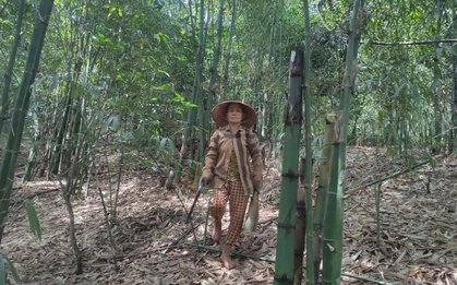 Cụ bà 73 tuổi kiếm 2 tỷ ngon ơ nhờ thứ cây “đội đất chui lên”, thời tiết nắng nóng vẫn mọc tua tủa