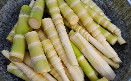 Tháng 3 hãy ăn nhiều 1 loại rau có thể hạ mỡ máu, lợi tiêu hóa lại giảm cân, não bộ càng minh mẫn