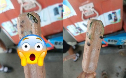 Thái Lan: Thực khách hết hồn khi thấy con rắn đông cứng trong que kem, nghe dân mạng bình luận 1 chuyện càng thêm hoang mang