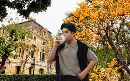 Cận cảnh vườn hoa vàng rực giữa trung tâm Hà Nội đang hot rần rần, nhiều người vẫn nhầm lẫn 1 điều rất trớ trêu