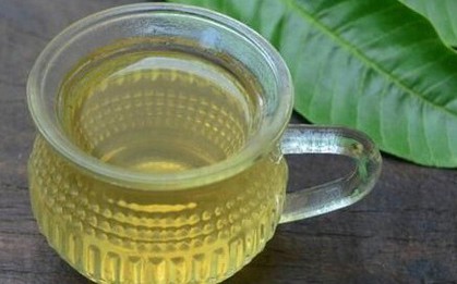Việt Nam có loại lá tưởng như bỏ đi nhưng chống rụng tóc, kích thích mọc tóc con, tăng sản xuất collagen