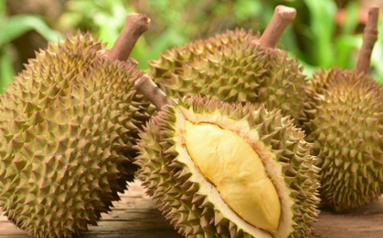 Những công dụng ít biết của vỏ quả sầu riêng