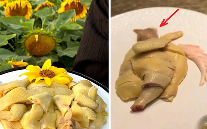 Sững sờ vì nửa con gà luộc giá 1,7 triệu đồng, nhà hàng giải thích: Đây không phải gà thường!