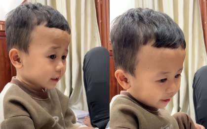Clip "ông cụ non" 5 tuổi lý luận vì sao bố phải đi làm khiến dân mạng mê tít