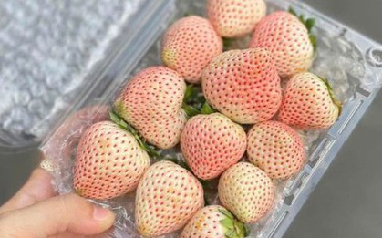 Loại quả đắt đỏ từng có giá tiền triệu nay bán giá rẻ "giật mình"