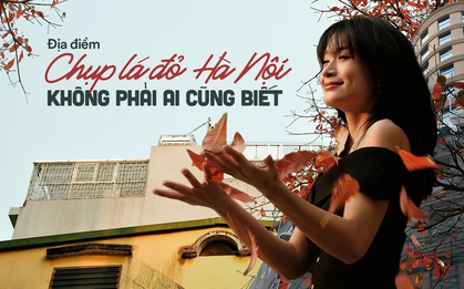 "Chất liệu" Hà Nội tháng 3 đang "nịnh" người ta quá mức, dân tình chỉ còn 1 tuần để kịp làm điều này