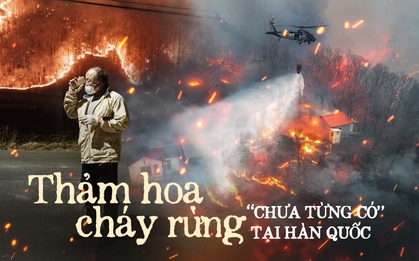 Thảm họa cháy rừng Hàn Quốc bước sang ngày thứ 5: 10.000 lính cứu hỏa vẫn không dập được lửa, số người chết tiếp tục tăng, di tích ngàn năm chỉ còn lại tro tàn