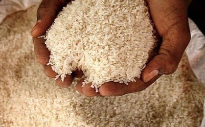 Ấn Độ vừa 'phả hơi nóng' lên gạo Việt Nam, chuyên gia khẳng định: 'không ai thực sự có thể cạnh tranh với họ'