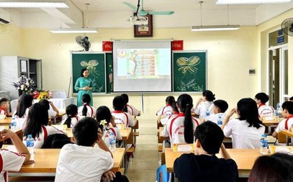 Điều kiện giáo viên cần đáp ứng khi muốn dạy thêm hợp pháp