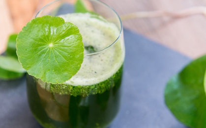 Buổi sáng nên dùng thứ nước "quốc dân" này để "bơm" collagen đều đặn, trẻ ra nhiều tuổi một cách đơn giản