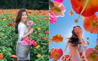Chị em tuổi trung niên nên trồng 5 loại hoa này: Hoa đẹp, người khỏe, càng sống càng trẻ!