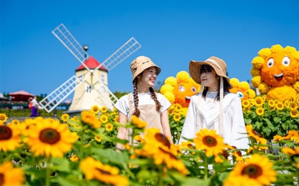 Sun World Ba Na Hills ngợp ngời sắc vàng trong lễ hội Hoa Mặt trời