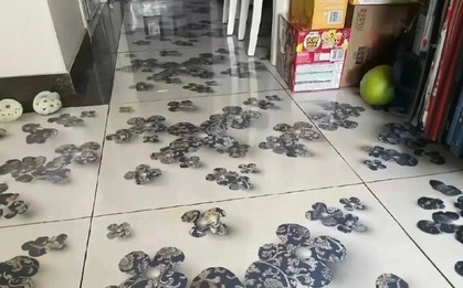 Bức ảnh khiến 10.000 người "rợn tóc gáy"