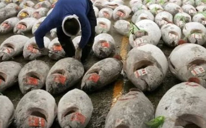 Sau sầu riêng, thêm một mặt hàng 'siêu thực phẩm' từ Việt Nam thành đối thủ lớn của Thái Lan - thu hơn 3.500 tỷ từ đầu năm