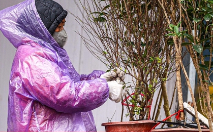 Miền Bắc chuyển rét từ đêm nay, nhiệt độ thấp nhất dưới 8°C