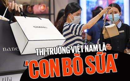 Toan tính của những Gucci, Dior, Louis Vuitton: Biến thị trường Việt Nam với 17 triệu người thuộc tầng lớp trung lưu thành ‘con bò sữa’?