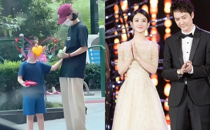 Triệu Lệ Dĩnh bất ngờ được khen vì quyết định để con lại cho gia đình chồng nuôi hậu ly hôn