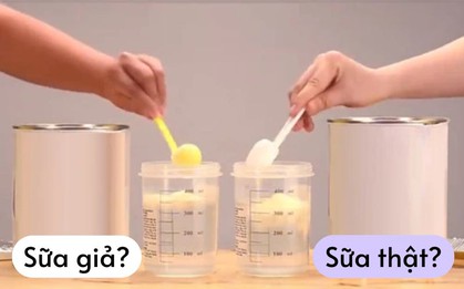 Phát hiện gần 600 loại sữa bị làm giả: 6 cách đơn giản phân biệt sữa thật - giả
