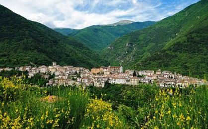 Thị trấn sống chung với gấu hoang