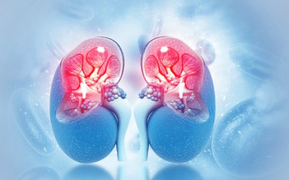 Bác sĩ Bệnh viện Bạch Mai cảnh báo 1 sai lầm gặp ở nhiều người Việt khiến thận tổn thương nặng nề