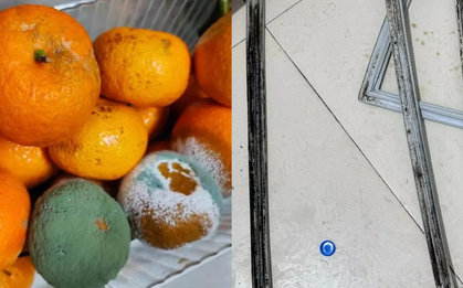 Nói thật: Nơi tưởng sạch nhất trong nhà lại là "hang ổ" của vi khuẩn, nấm mốc khiến "bệnh từ miệng mà vào"
