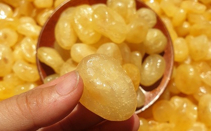 Việt Nam có 1 loại quả chua chát giúp chống rụng tóc, kích thích mọc tóc con, dùng đúng cách còn trị được nhiều loại bệnh