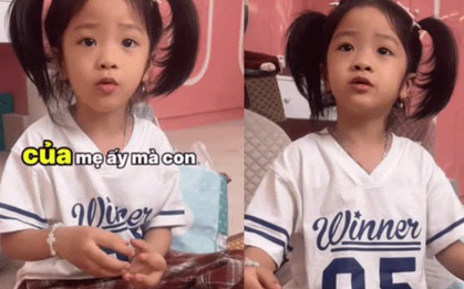 Nghe cái cách em bé này nói chuyện, đầy người lớn phải thốt lên "trời ơi con còn trưởng thành hơn cả cô chú nữa"