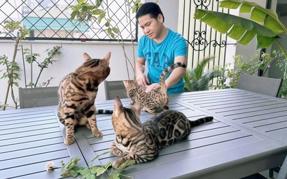 "Vua nhạc đỏ": U50 có biệt thự, nhà mặt phố Hà Nội là chủ 2 nhà hàng nhưng "của để dành" mới khủng