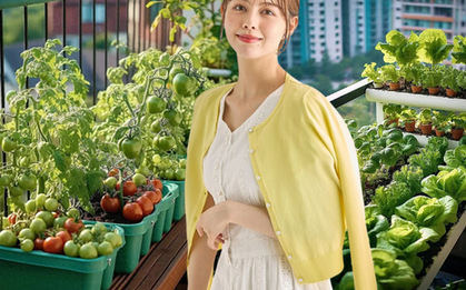 Người phụ nữ trung niên bất ngờ "nổi như cồn" vì khu vườn trên ban công chỉ rộng 9m2 nhưng trồng được rau xanh mướt, quả đỏ mọng!