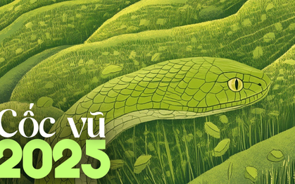 Tiết Cốc vũ: Muốn gặp may mắn, hãy tránh 3 điều đại kỵ sau