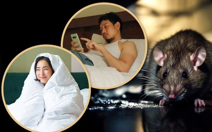 "Sống như con chuột trong cống", lựa chọn của nhiều người trẻ Trung Quốc