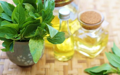 Top những món ăn, thức uống nên dùng thường xuyên để giải độc thận