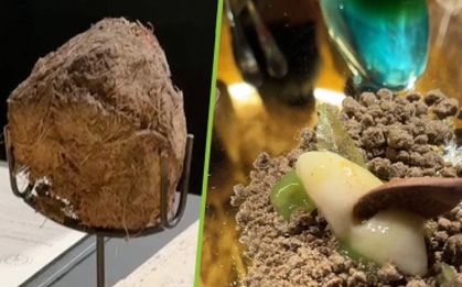 Nhà hàng phục vụ món tráng miệng từ phân voi trong suất ăn 13 triệu đồng