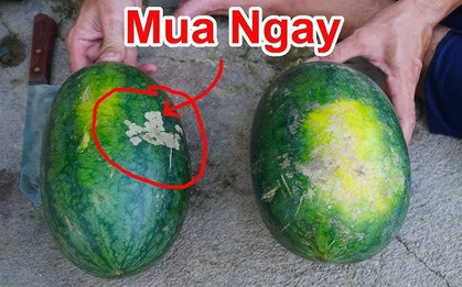 Vỗ rát cả tay không mua nổi quả dưa hấu xịn, bỏ đi - học 8 mẹo này đảm bảo chọn "bách phát bách trúng"!