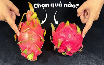 Mua thanh long thấy quả dài - quả ngắn: Chọn bừa ăn nhạt như nước lã, chọn đúng "ngon quên lối về"